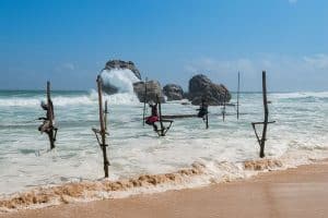 Stilt Fisherman Sri Lanka